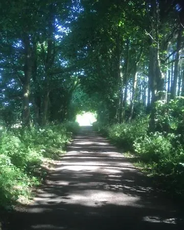 Cobble * Wigton